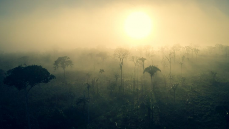 Abandonada por autoridades, ‘terra de ninguém’ na Amazônia é dominada pela madeira ilegal, pelo fogo e pela grilagem